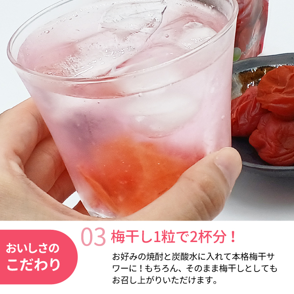 本格梅干しサワーが作れる南高梅