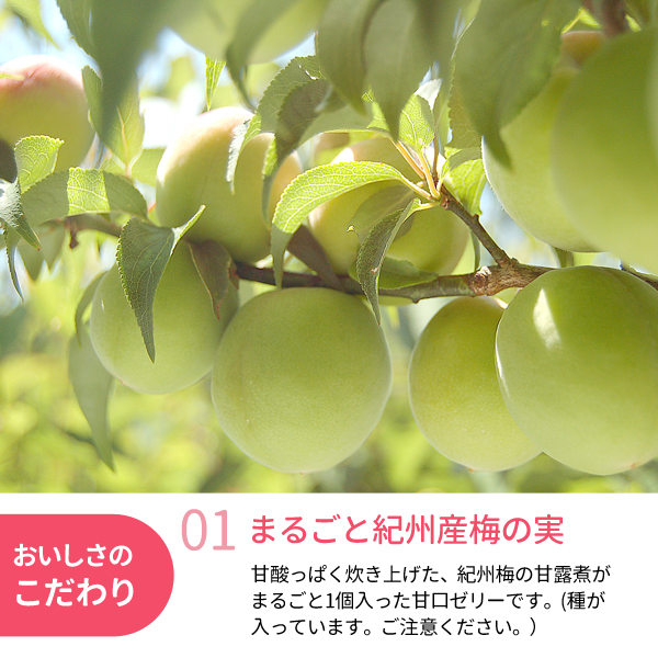 ご家庭用 紀州産梅の実入り 紀州梅ゼリー 90g×9個 紀州梅干し