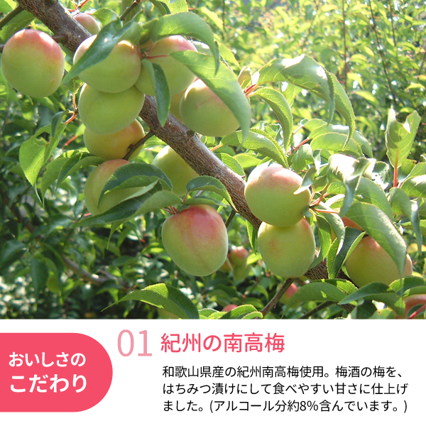 はちみつ入り梅酒の南高梅