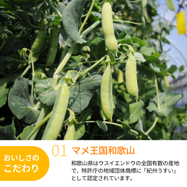 その後のウスイエンドウの様子です～！ | どんべいの週末菜園日記