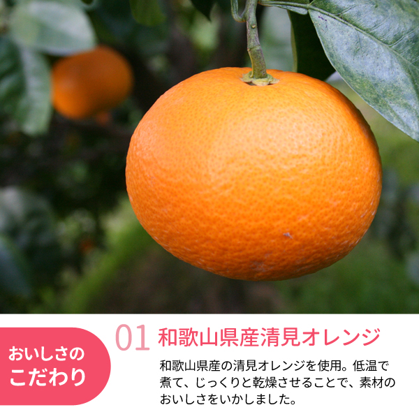 輪切りドライフルーツ　清見オレンジ