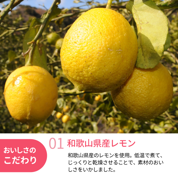 輪切りドライフルーツ　レモン