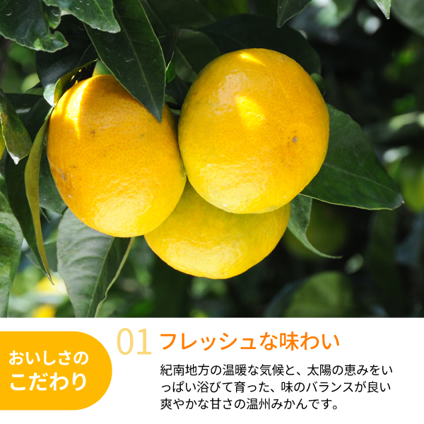 送料無料】紀南みかん「わんぱくミニ」 5kg 紀州梅干し・みかん
