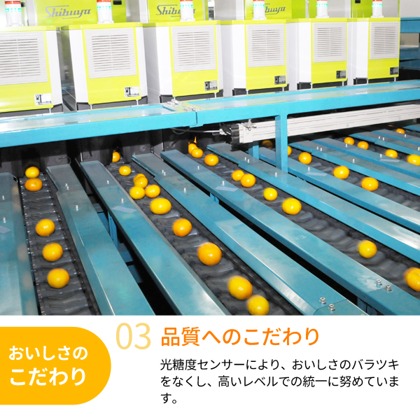 送料無料】ゆら早生（極早生みかん） 3kg 紀州梅干し・みかんのJA