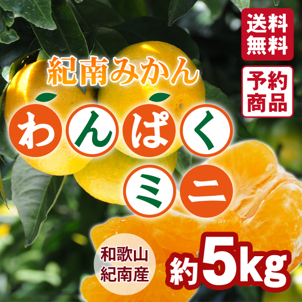 送料無料】紀南みかん「わんぱくミニ」 5kg 紀州梅干し・みかんのJA
