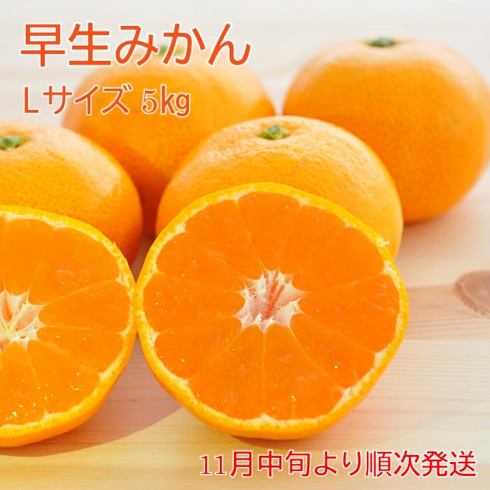 2026〜早生みかんL5?