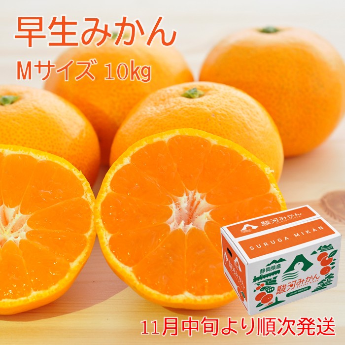 2026〜早生みかんM10kg