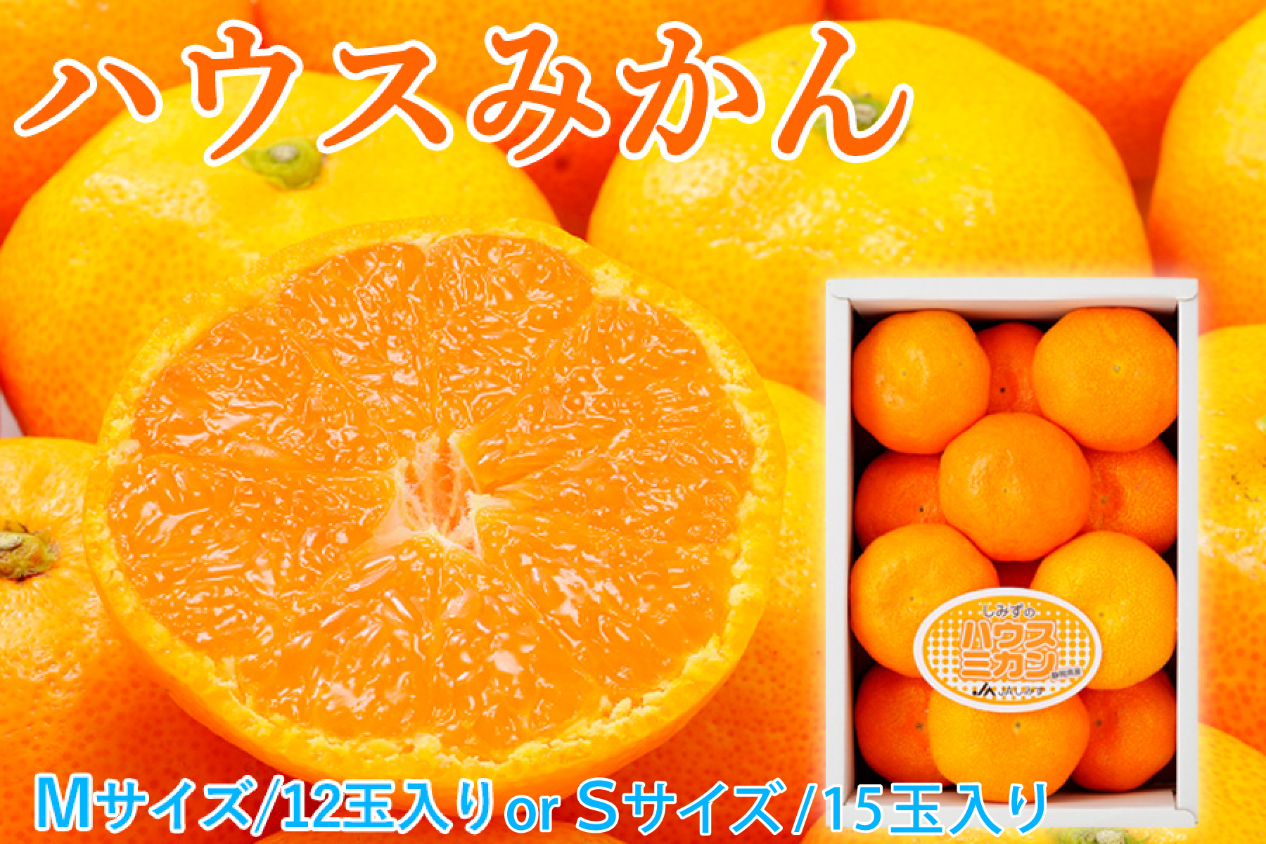 【数量限定】【7月上旬頃より発送予定8月上旬まで取扱】ハウスみかんMサイズ12玉入orSサイズ15玉入