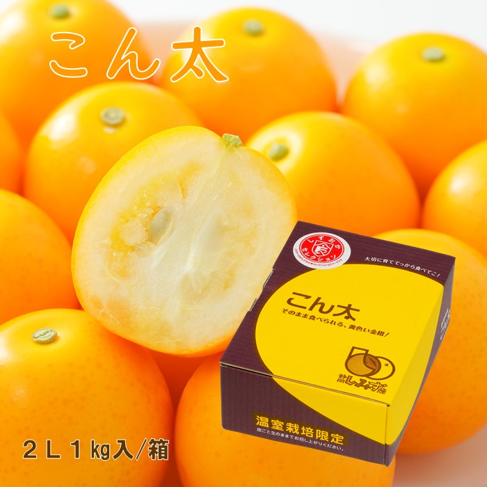 こん太　2L　1kg箱