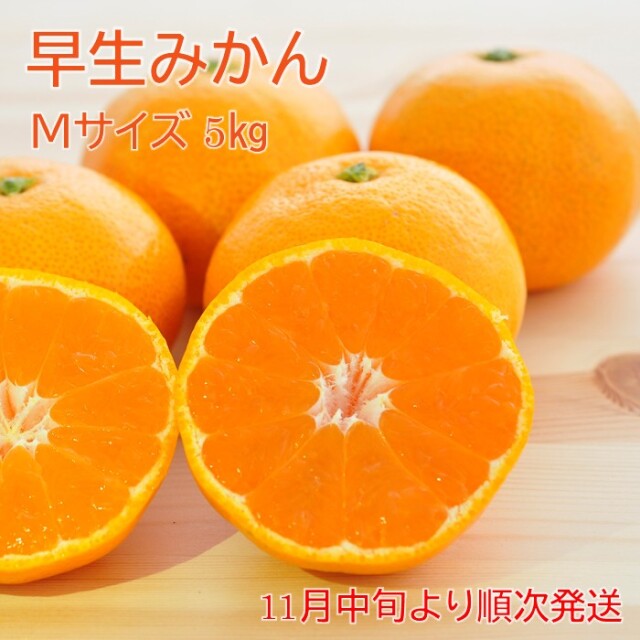 2026〜早生みかんM５?