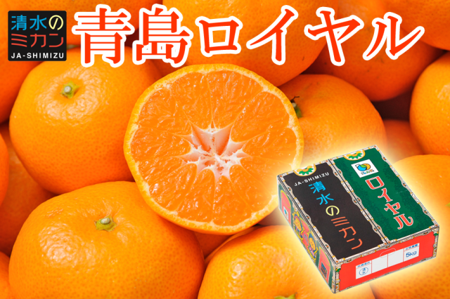 【ご予約商品・2026年1月中旬よりご発送】　青島ロイヤル 5kg　箱