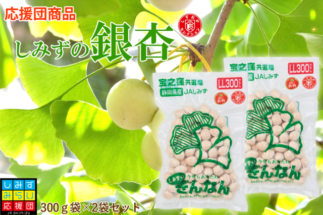 【しみずみらい応援団】ギンナン2L300ｇ×2袋