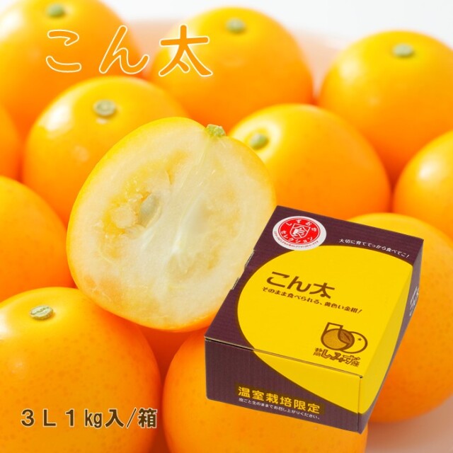 コンターレ 3L 1kg箱