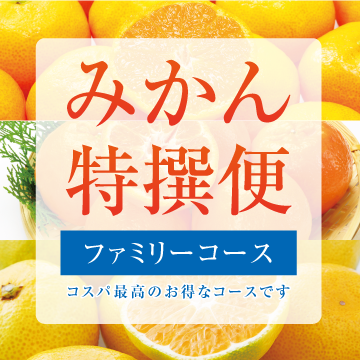 【送料無料】 みかん特撰便 ファミリーコース 全6回分