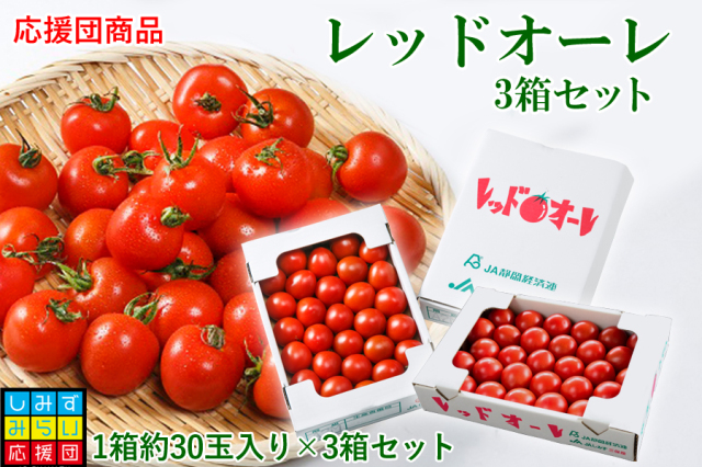 【しみずみらい応援団】レッドオーレ（30玉入り）×3箱セット