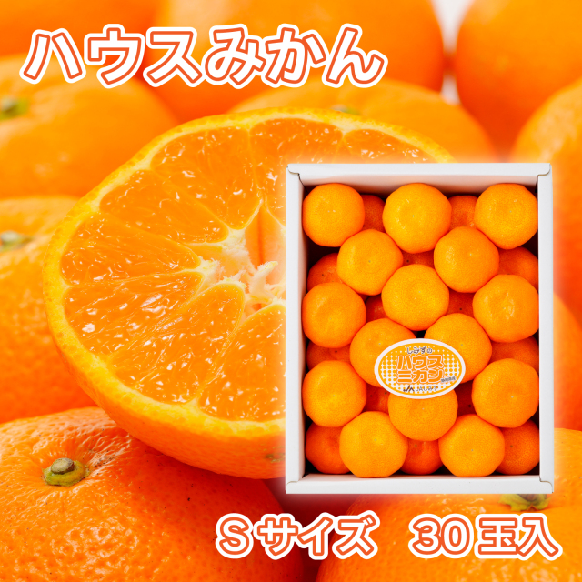 　ハウスミカンS30玉