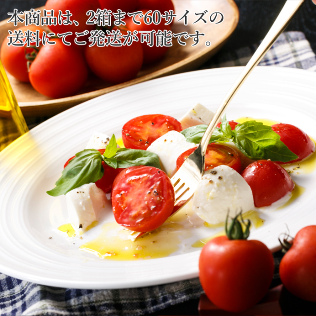 トマト Amazon.co.jp: 伊藤園 熟トマト 730g×15本 エコボトル : 食品・飲料・お酒