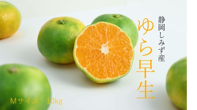 ゆら早生M10kg