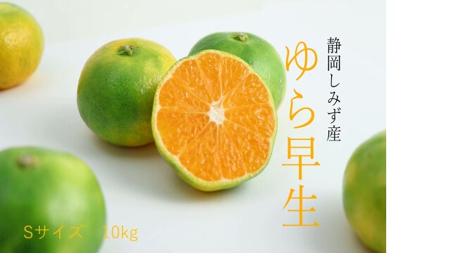 ゆら早生S10kg