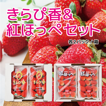 「きらぴ香&紅ほっぺ」セット　各2パック