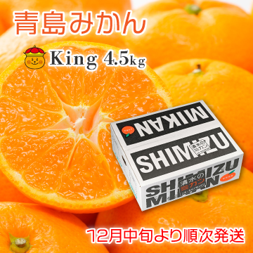 青島みかん　King 4.5kg
