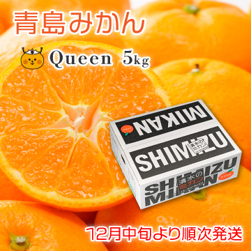 青島みかん　Queen 5kg