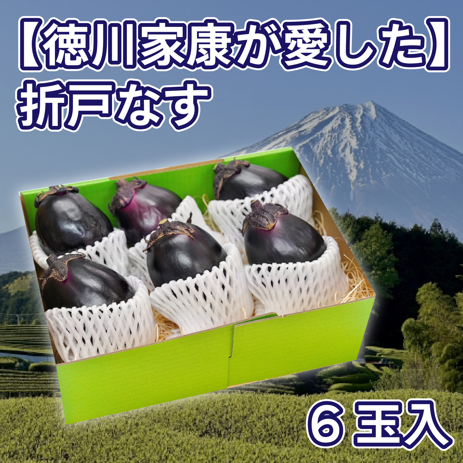 【徳川家康が愛した】折戸なす　6玉