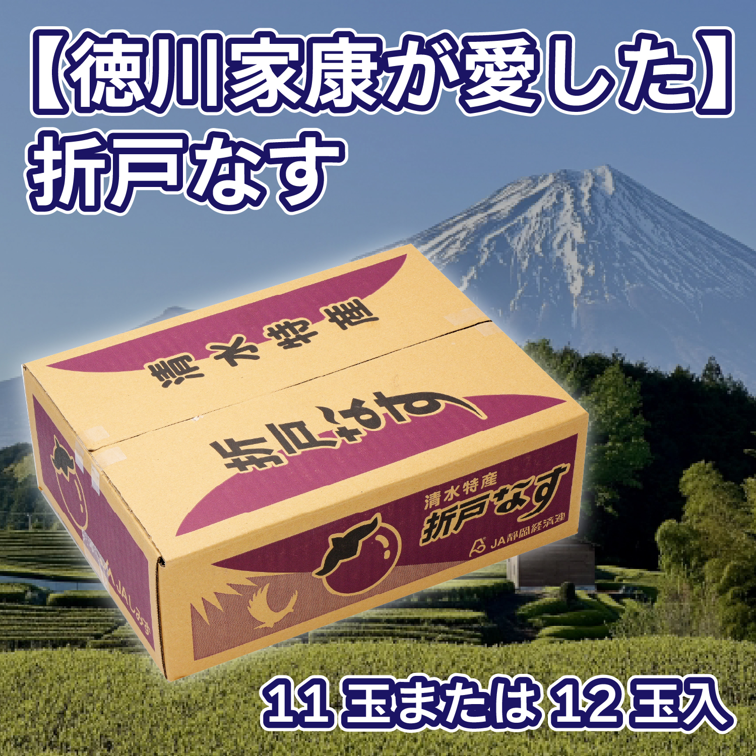 【8月上旬頃まで取扱】折戸なす　11玉または12玉入