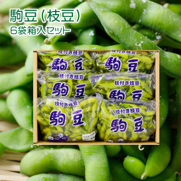 【5月上旬以降ご発送】駒豆（枝豆） ６袋箱入セット