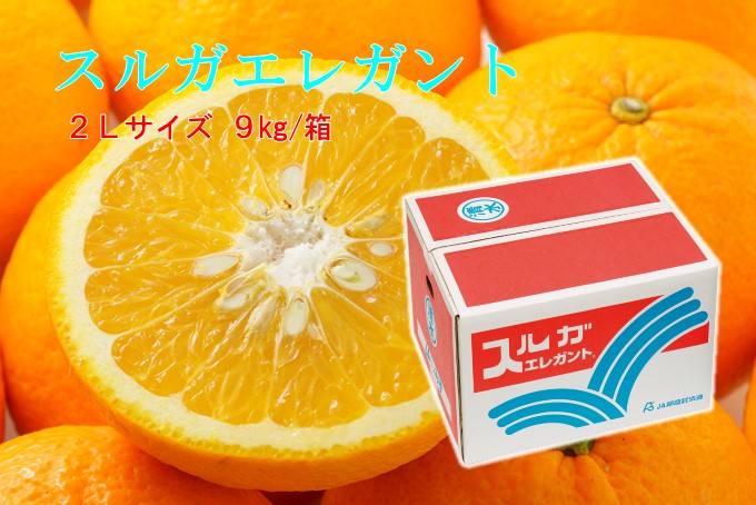 スルガエレガント 2Lサイズ 9kg