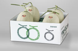 夕張メロン　良品2kgセット・4玉入【送料込み】