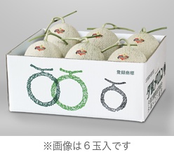夕張メロン　良品セット（5玉・6玉）【送料込み】