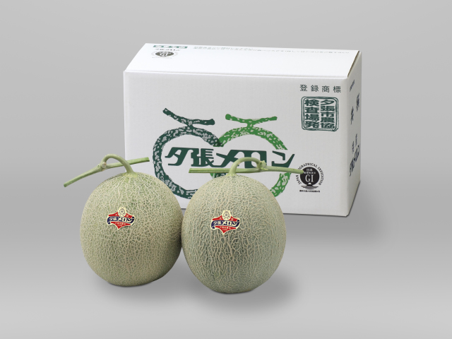 送料無料 産地直送 夕張メロン良品2玉入 Ja夕張市農業共同組合 夕張市農協検査場発