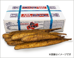 【売切御免！限定販売】夕張市産長いも Sサイズ3kg　1,900円（税込・送料別）