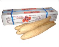 【売切御免！限定販売】夕張市産長いも 3Lサイズ5kg