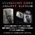 ZIPPO/ヱヴァンゲリヲン EVANGELION メタルレリーフ　ロンギヌスの槍　銀古美仕上げ シリアルナンバー入り EV-Longi 画像1