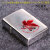 ZIPPO/エヴァンゲリヲン NERV リバイバル版　銀メッキサテーナ シリアルナンバー入り画像1
