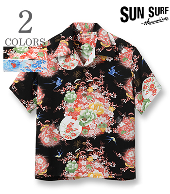 SUN SURF SWALLOWS FLY AROUND