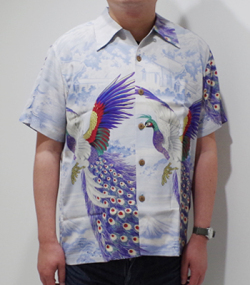 SUN SURF PEACOCK