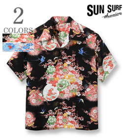 SUN SURF SWALLOWS FLY AROUND
