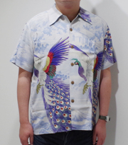 SUN SURF PEACOCK