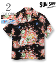 SUN SURF SWALLOWS FLY AROUND