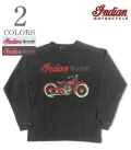 INDIAN SCOUT PIGMENT LST