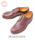 WHEELROBE STRAIGHT TIP OXFORD