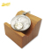 Roosevelt Dime Coin Necklace-Brass