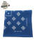 3×3 Bandana