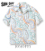 SUN SURF PARADISE PICTOGRAPH