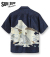 SUN SURF SPECIAL EDITION EAGLE & Mt. FUJI