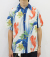 SUN SURF CARP