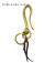 Brass Hook
